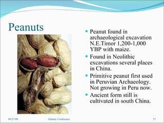 Peanuts Peanut found in archaeological excavation N.E.Timor 1,200-1,000 YBP with maize. Found in Neolithic excavations several places in China. Primitive peanut first used in Peruvian Archaeology.  Not growing in Peru now. Ancient form still is cultivated in south China. 09/27/09 Atlantic Conference 