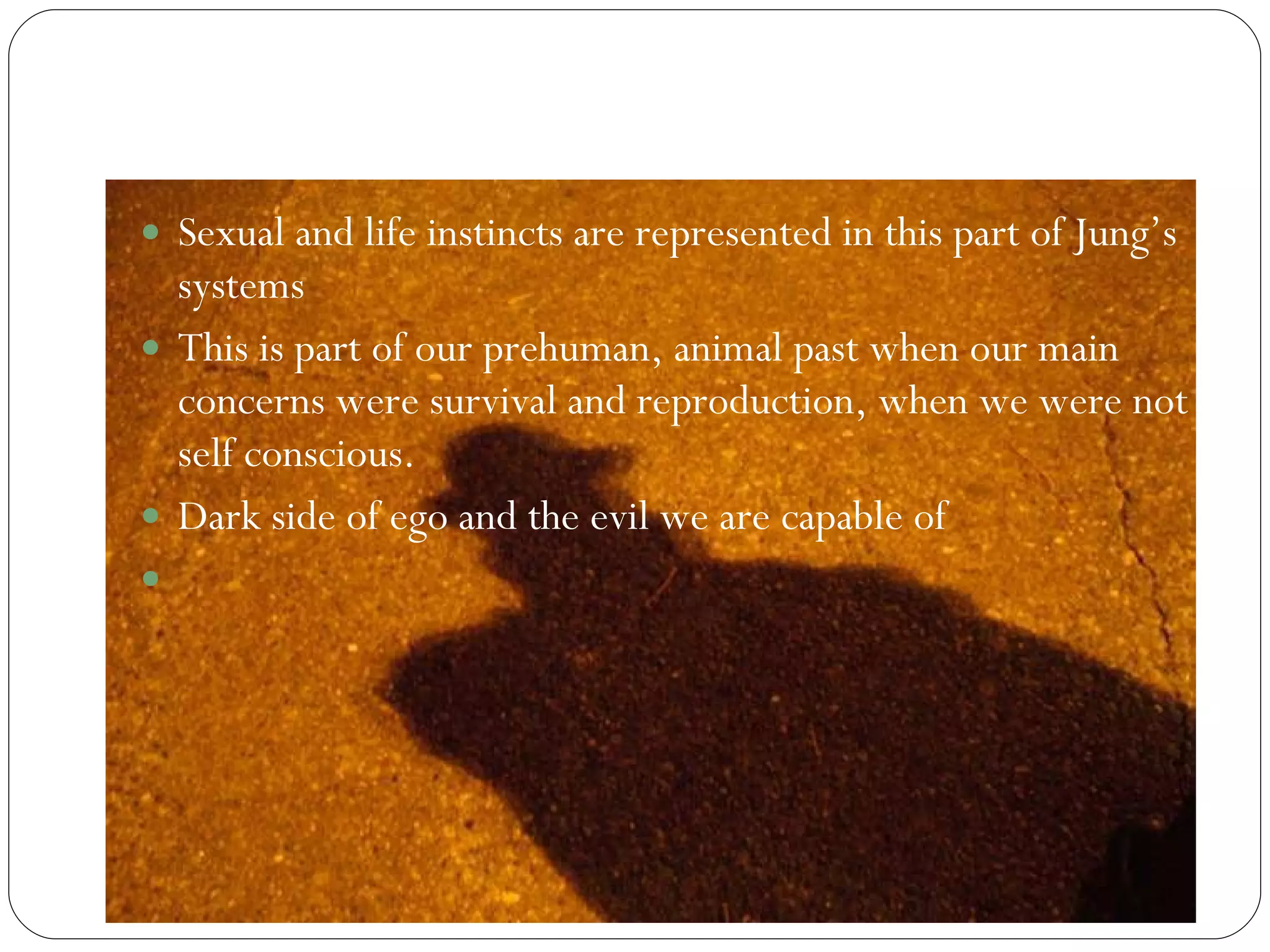 The Shadow Sexual and life instincts are represented in this part of Jung’s systems  This is part of our prehuman, animal past when our main concerns were survival and reproduction, when we were not self conscious.  Dark side of ego and the evil we are capable of 