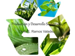 Producción y Desarrollo Sustentable
Carlo E. Ramos Valadez
 