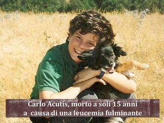 Carlo Acutis, morto a soli 15 anni
a causa di una leucemia fulminante
 