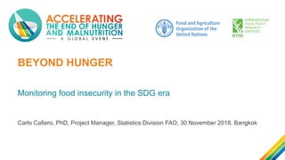 BEYOND HUNGER
Monitoring food insecurity in the SDG era
Carlo Cafiero, PhD, Project Manager, Statistics Division FAO, 30 N...