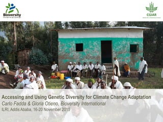 Accessing and Using Genetic Diversity for Climate Change Adaptation
Carlo Fadda & Gloria Otieno, Bioversity International
ILRI, Addis Ababa, 16-20 November 2015
 