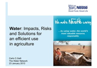 Water: Impacts, Risks
and Solutions for
an efficient use
in agriculture


Carlo C.Galli
The Water Network
23 January 2013
 
