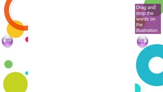 Drag and
drop the
words on
the
illustration.
 