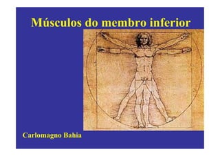 Músculos do membro inferior




Carlomagno Bahia
 