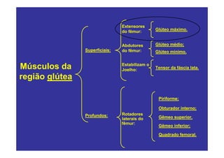 Extensores
                                do fêmur:       Glúteo máximo.


                                Abdutores       Glúteo médio;
                Superficiais:   do fêmur:       Glúteo mínimo.


Músculos da                     Estabilizam o
                                Joelho:         Tensor da fáscia lata.

região glútea

                                                 Piriforme;

                                                 Obturador interno;
                Profundos:      Rotadores
                                laterais do      Gêmeo superior.
                                fêmur:
                                                 Gêmeo inferior;

                                                 Quadrado femoral.
 