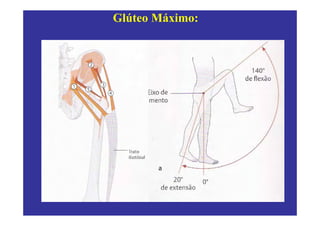 Glúteo Máximo:
 
