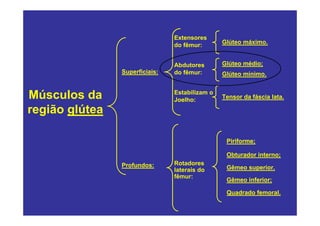 Extensores
                                do fêmur:       Glúteo máximo.


                                Abdutores       Glúteo médio;
                Superficiais:   do fêmur:       Glúteo mínimo.


Músculos da                     Estabilizam o
                                Joelho:         Tensor da fáscia lata.

região glútea

                                                 Piriforme;

                                                 Obturador interno;
                Profundos:      Rotadores
                                laterais do      Gêmeo superior.
                                fêmur:
                                                 Gêmeo inferior;

                                                 Quadrado femoral.
 