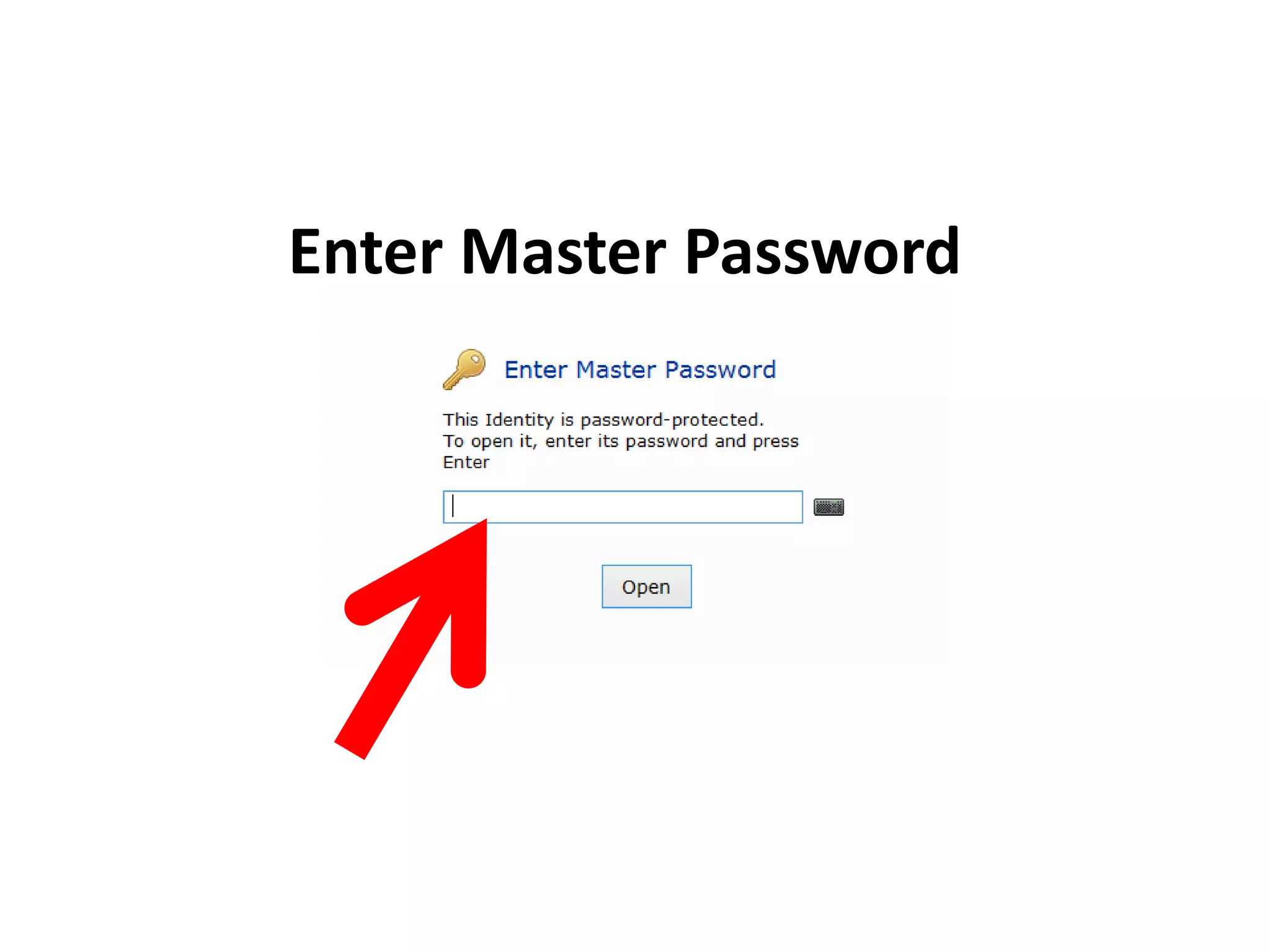 Enter Master Password
 