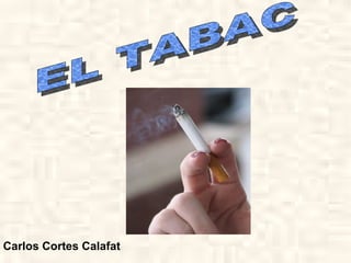 Carlos Cortes Calafat EL TABAC 