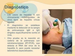 Diagnóstico 
• Los casos de hepatitis A son 
clínicamente indistinguibles de 
otros tipos de hepatitis víricas 
agudas. 
• El diagnóstico se establece 
mediante la detección en la sangre 
de anticuerppos IgM e IgG 
dirigidos específicamente contra el 
VHA. 
• Otra prueba es la reacción en 
cadena de la polimerasa con 
retrotranscriptasa (RT-PCR), que 
detecta el RNA del virus de la 
hepatitis A, pero puede necesitar 
laboratorios especializados. 
 