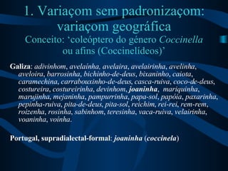 1. Variaçom sem padronizaçom: variaçom geográfica Conceito: ‘coleóptero do género  Coccinella  ou afins (Coccinelídeos)’ <...