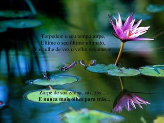 T orpedeie o seu tempo torpe, U ltime o seu último ultimato, V asculhe de vez o velho vexame, e  Z arpe de sua zanga, zás, zás...... E nunca mais olhes para trás... 