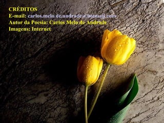 CRÉDITOS E-mail:  [email_address] Autor da Poesia: Carlos Melo de Andrade Imagens: Internet 