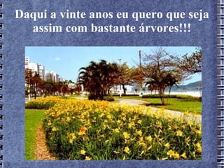Daqui a vinte anos eu quero que seja
  assim com bastante árvores!!!
 