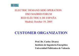 CUSTOMER ORGANIZATIONCUSTOMER ORGANIZATION
Prof. Dr. Carlos Álvarez
Instituto de Ingeniería Energética
Universidad Politécnica de Valencia
ELECTRIC DEMAND SIDE OPERATION
DSO MADRID FORUM
RED ELÉCTRICA DE ESPAÑA
Madrid, October 19, 2005
 