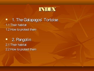 INDEXINDEX
 1. TheGalapagos’ Tortoise1. TheGalapagos’ Tortoise
1.1 Their habitat1.1 Their habitat
1.2 How to protect them1.2 How to protect them
 2. Pangolin2. Pangolin
2.1 Their habitat2.1 Their habitat
2.2 How to protect them2.2 How to protect them
 