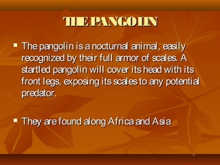 THEPANGOLINTHEPANGOLIN
 Thepangolin isanocturnal animal, easilyThepangolin isanocturnal animal, easily
recognized by their full armor of scales. Arecognized by their full armor of scales. A
startled pangolin will cover itshead with itsstartled pangolin will cover itshead with its
front legs, exposing itsscalesto any potentialfront legs, exposing itsscalesto any potential
predator.predator.
 They arefound along Africaand AsiaThey arefound along Africaand Asia
 