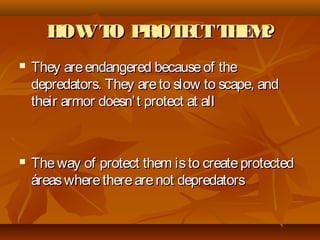 HOWTO PROTECTTHEM?HOWTO PROTECTTHEM?
 They areendangered becauseof theThey areendangered becauseof the
depredators. They areto slow to scape, anddepredators. They areto slow to scape, and
their armor doesn’t protect at alltheir armor doesn’t protect at all
 Theway of protect them isto createprotectedTheway of protect them isto createprotected
áreaswheretherearenot depredatorsáreaswheretherearenot depredators
 