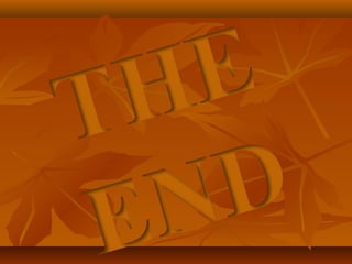 Galapagos Turtle & Pangolin