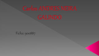 Carlos andres