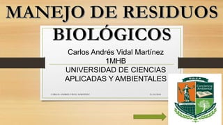 Carlos Andrés Vidal Martínez
1MHB
UNIVERSIDAD DE CIENCIAS
APLICADAS Y AMBIENTALES
31/10/2018CARLOS ANDRES VIDAL MARTINEZ
 