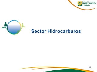 Sector Hidrocarburos
19
 