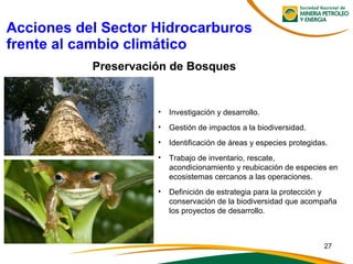 Preservación de Bosques
• Investigación y desarrollo.
• Gestión de impactos a la biodiversidad.
• Identificación de áreas y especies protegidas.
• Trabajo de inventario, rescate,
acondicionamiento y reubicación de especies en
ecosistemas cercanos a las operaciones.
• Definición de estrategia para la protección y
conservación de la biodiversidad que acompaña
los proyectos de desarrollo.
27
Acciones del Sector Hidrocarburos
frente al cambio climático
 