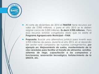  Al corte de diciembre de 2014 el FMATDR tiene recursos por
valor de 2.900 millones, y para el año 2015 se le deben
asignar cerca de 3.000 millones. Es decir 5.900 millones. Pero
esos recursos estarán congelados dado que no existe el
Programa Agropecuario Municipal – PAM.
 Propuesta: Buscar una alternativa jurídica para invertir esos
5.900 millones de pesos, durante el año 2015, en el desarrollo
del sector rural campesino de nuestros corregimientos, por
ejemplo en: Mejoramiento de suelos, mantenimiento de la
vías veredales para facilitar el transito de alimentos, semillas,
sistemas de riego, capacitación a los campesinos y
funcionarios, renovación tecnológica, fortalecimiento de la
UMATA, etc.
 