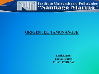 ORIGEN , EL TAMUNANGUE
Participante:
Carlos Benítez
C.I.N°: 17.036.762
 