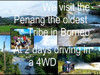 We visit the  Penang the oldest  Tribe in Borneo  At 2 days driving in    a 4WD 