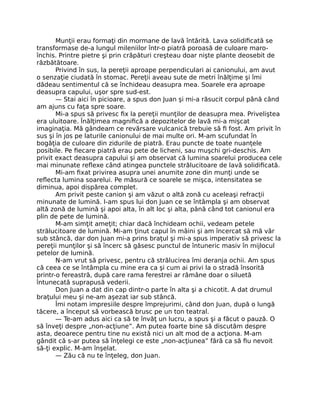 Munţii erau formaţi din mormane de lavă întărită. Lava solidiﬁcată se
transformase de-a lungul mileniilor într-o piatră poroasă de culoare maro-
închis. Printre pietre şi prin crăpături creşteau doar nişte plante deosebit de
răzbătătoare.
Privind în sus, la pereţii aproape perpendiculari ai canionului, am avut
o senzaţie ciudată în stomac. Pereţii aveau sute de metri înălţime şi îmi
dădeau sentimentul că se închideau deasupra mea. Soarele era aproape
deasupra capului, uşor spre sud-est.
— Stai aici în picioare, a spus don Juan şi mi-a răsucit corpul până când
am ajuns cu faţa spre soare.
Mi-a spus să privesc ﬁx la pereţii munţilor de deasupra mea. Priveliştea
era uluitoare. Înălţimea magniﬁcă a depozitelor de lavă mi-a mişcat
imaginaţia. Mă gândeam ce revărsare vulcanică trebuie să ﬁ fost. Am privit în
sus şi în jos pe laturile canionului de mai multe ori. M-am scufundat în
bogăţia de culoare din zidurile de piatră. Erau puncte de toate nuanţele
posibile. Pe ﬁecare piatră erau pete de licheni, sau muşchi gri-deschis. Am
privit exact deasupra capului şi am observat că lumina soarelui producea cele
mai minunate reﬂexe când atingea punctele strălucitoare de lavă solidiﬁcată.
Mi-am ﬁxat privirea asupra unei anumite zone din munţi unde se
reﬂecta lumina soarelui. Pe măsură ce soarele se mişca, intensitatea se
diminua, apoi dispărea complet.
Am privit peste canion şi am văzut o altă zonă cu aceleaşi refracţii
minunate de lumină. I-am spus lui don Juan ce se întâmpla şi am observat
altă zonă de lumină şi apoi alta, în alt loc şi alta, până când tot canionul era
plin de pete de lumină.
M-am simţit ameţit; chiar dacă închideam ochii, vedeam petele
strălucitoare de lumină. Mi-am ţinut capul în mâini şi am încercat să mă vâr
sub stâncă, dar don Juan mi-a prins braţul şi mi-a spus imperativ să privesc la
pereţii munţilor şi să încerc să găsesc punctul de întuneric masiv în mijlocul
petelor de lumină.
N-am vrut să privesc, pentru că strălucirea îmi deranja ochii. Am spus
că ceea ce se întâmpla cu mine era ca şi cum ai privi la o stradă însorită
printr-o fereastră, după care rama ferestrei ar rămâne doar o siluetă
întunecată suprapusă vederii.
Don Juan a dat din cap dintr-o parte în alta şi a chicotit. A dat drumul
braţului meu şi ne-am aşezat iar sub stâncă.
Îmi notam impresiile despre împrejurimi, când don Juan, după o lungă
tăcere, a început să vorbească brusc pe un ton teatral.
— Te-am adus aici ca să te învăţ un lucru, a spus şi a făcut o pauză. O
să înveţi despre „non-acţiune”. Am putea foarte bine să discutăm despre
asta, deoarece pentru tine nu există nici un alt mod de a acţiona. M-am
gândit că s-ar putea să înţelegi ce este „non-acţiunea” fără ca să ﬁu nevoit
să-ţi explic. M-am înşelat.
— Zău că nu te înţeleg, don Juan.
 