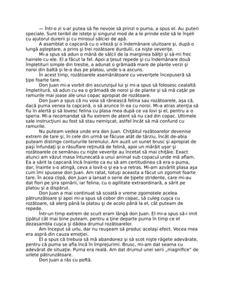 — Într-o zi s-ar putea să ﬁe nevoie să prinzi o puma, a spus el. Au puteri
speciale. Sunt teribil de isteţe şi singurul mod de a le prinde este să le înşeli
cu ajutorul durerii şi cu mirosul sălciei de apă.
A asamblat o capcană cu o viteză şi o îndemânare uluitoare şi, după o
lungă aşteptare, a prins şi trei rozătoare durdulii, ca nişte veveriţe.
Mi-a spus să adun o mână de sălcii de la marginea bălţii şi să-mi frec
hainele cu ele. El a făcut la fel. Apoi a ţesut repede şi cu îndemânare două
împletituri simple din trestie, a adunat o grămadă mare de plante verzi şi
noroi din baltă şi le-a dus pe platou, unde s-a ascuns.
În acest timp, rozătoarele asemănătoare cu veveriţele începuseră să
ţipe foarte tare.
Don Juan mi-a vorbit din ascunzişul lui şi mi-a spus să folosesc cealaltă
împletitură, să adun cu ea o grămadă de noroi şi de plante şi să mă caţăr pe
ramurile mai joase ale unui copac apropiat de rozătoare.
Don Juan a spus că nu voia să rănească felina sau rozătoarele, aşa că,
dacă puma venea la capcană, o să arunce în ea cu noroi. Mi-a atras atenţia să
ﬁu în alertă şi să lovesc felina cu plasa mea după ce va lovi şi el, pentru a o
speria. Mi-a recomandat să ﬁu extrem de atent să nu cad din copac. Ultimele
sale instrucţiuni au fost să stau nemişcat, astfel încât să mă confund cu
ramurile.
Nu puteam vedea unde era don Juan. Chiţăitul rozătoarelor devenise
extrem de tare şi, în cele din urmă se făcuse atât de târziu, încât de-abia
puteam distinge contururile terenului. Am auzit un sunet brusc şi apropiat de
paşi înfundaţi şi o răsuﬂare reţinută de felină, apoi un mârâit uşor şi
rozătoarele ce semănau cu nişte veveriţe au încetat să mai chiţăie. Exact
atunci am văzut masa întunecată a unui animal sub copacul unde mă aﬂam.
Ea a sărit la capcană încă înainte ca eu să am certitudinea că era o puma,
dar, înainte s-o atingă, ceva a lovit-o şi ea s-a retras. Mi-am azvârlit plasa aşa
cum îmi spusese don Juan. Am ratat, totuşi aceasta a făcut un zgomot foarte
tare. În acea clipă, don Juan a lansat o serie de ţipete stridente, care mi-au
dat ﬁori pe şira spinării, iar felina, cu o agilitate extraordinară, a sărit pe
platou şi a dispărut.
Don Juan a mai continuat să scoată o vreme zgomotele acelea
pătrunzătoare şi apoi mi-a spus să cobor din copac, să culeg cuşca cu
rozătoare, să alerg până la platou şi de acolo până la el, cât puteam de
repede.
Într-un timp extrem de scurt eram lângă don Juan. El mi-a spus să-i imit
ţipătul cât mai bine puteam, pentru a ţine departe puma în timp ce el
dezasambla cuşca şi dădea drumul rozătoarelor.
Am început să urlu, dar nu reuşeam să produc acelaşi efect. Vocea mea
era aspră din cauza emoţiei.
El a spus că trebuia să mă abandonez şi să scot nişte răgete adevărate,
pentru că puma se aﬂa încă în împrejurimi. Brusc, mi-am dat seama cu
adevărat de situaţie. Puma era reală. Am dat drumul unei serii „magniﬁce” de
urlete pătrunzătoare.
Don Juan a râs cu poftă.
 