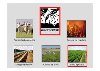 AGROPECUÁRIA



Fermentação entérica                       Queima de resíduos




Manejo de dejetos       Cultivo de arroz      Solos agrícolas
 
