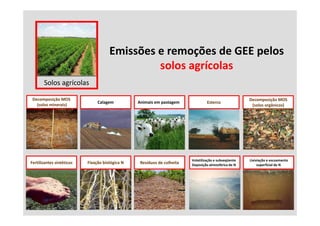 Emissões e remoções de GEE pelos 
                                               solos agrícolas
                                                  l     í l
       Solos agrícolas

 Decomposição MOS                                                                                      Decomposição MOS 
                                Calagem          Animais em pastagem              Esterco
   (solos minerais)                                                                                     (solos orgânicos)




                                                                         Volatilização e subseqüente   Lixiviação e escoamento
Fertilizantes sintéticos   Fixação biológica N
                               ç        g         Resíduos de colheita   Deposição atmosférica de N
                                                                         Deposição atmosférica de N         superficial de N
                                                                                                            s perficial de N
 