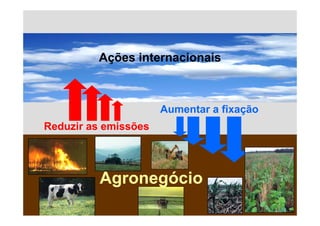 Ações internacionais
          ções te ac o a s



                      Aumentar a fixação
                                     ç
Reduzir as emissões




          Agronegócio
 