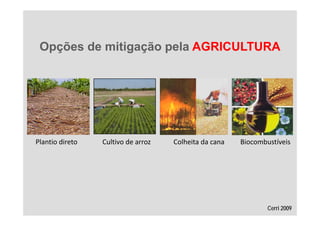 Opções de mitigação pela AGRICULTURA




Plantio direto   Cultivo de arroz   Colheita da cana   Biocombustíveis




                                                               Cerri 2009
 