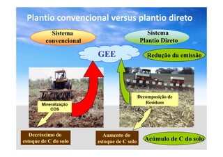 Plantio convencional versus plantio direto
           Sistema                              Sistema
         convencional
         co ve c o                           Plantio Direto

                        GEE                     Redução da emissão




                                            Decomposição de
        Mineralização                          Resíduos
            COS




   Decréscimo do          Aumento do
estoque de C do solo    estoque de C solo      Acúmulo de C do solo
 