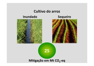 Cultivo do arroz
      C lti d
Inundado            Sequeiro
                      q




            25
   Mitigação em Mt CO2‐eq
 