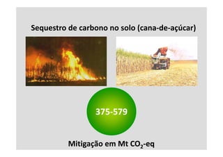 Sequestro de carbono no solo (cana‐de‐açúcar)
S         d     b         l (      d    ú )




                 375‐
                 375‐579


          Mitigação em Mt CO2‐eq
                       Mt CO
 