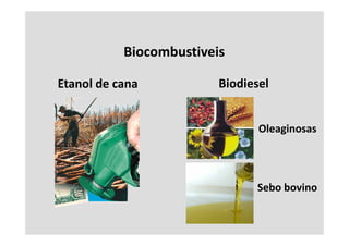Biocombustiveis

Etanol de cana           Biodiesel


                                Oleaginosas




                               Sebo bovino
 
