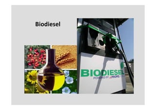 Biodiesel
 