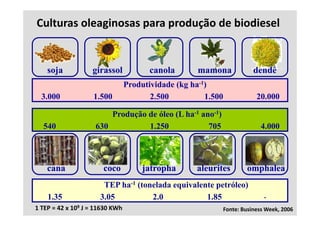 Culturas oleaginosas para produção de biodiesel 


    soja           girassol             canola       mamona           dendê
                                 Produtividade (kg ha-1)
                                               ( g
  3.000             1.500               2.500          1.500           20.000

                        Prod ção de óleo (L ha-1 ano-1)
                        Produção
  540               630          1.250             705                  4.000




    cana               coco           jatropha      aleurites      omphalea
                       TEP ha-1 (tonelada equivalente petróleo)
    1.35              3.05          2.0            1.85                   -
1 TEP = 42 x 109 J = 11630 KWh                             Fonte: Business Week, 2006
 