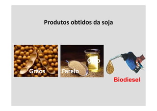 Produtos obtidos da soja




                   Óleo
Grãos     Farelo
                               Biodiesel
 