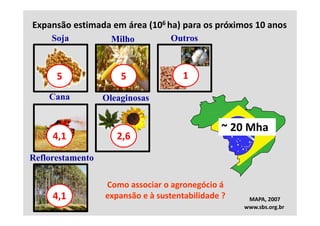 Expansão estimada em área (106 ha) para os próximos 10 anos
     Soja
     S j            Milho
                    Milh           Outros
                                   O t



      5               5               1
    Cana          Oleaginosas


                                                ~ 20 Mha
     4,1             2,6
Reflorestamento

                  Como associar o agronegócio á 
     4,1          expansão e à sustentabilidade ?     MAPA, 2007
                                                     www.sbs.org.br
 
