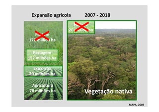 Expansão agrícola       2007 ‐ 2018
                   Pasture
                 20 million ha
                 20 million ha
   Pasture
172 million ha

  Pastagem
152 milhões ha

  Expansão
20 milhões ha

 Agricultura
78 milhões ha            Vegetação nativa
                           g ç
                                       MAPA, 2007
 
