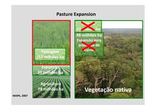 Pasture Expansion
                                 Pasture
                               20 million ha
                               20 million ha
                               48 milhões ha
                               Expansão para 
                                produção de 
               Pastagem            carne
             152 milhões ha

               Expansão
             20 milhões ha

              Agricultura
             78 milhões ha         Vegetação nativa
                                     g ç
MAPA, 2007
 