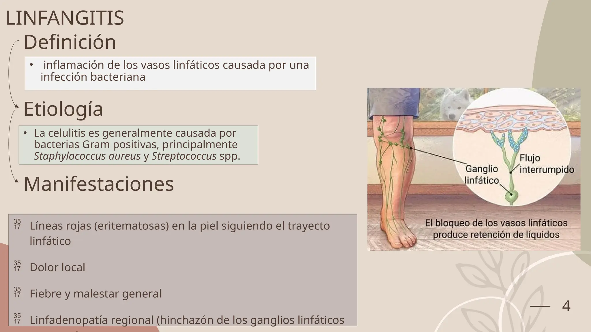 Linfangitis Reticular CARLOS DIAZ - CELULITIS, LINFANGITIS, ERISIPELA, NECROSIS, BACTERIEMIA ...