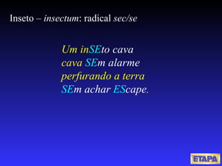 Inseto –  insectum : radical  sec/se Um in SE to   cava cava  SE m   alarme perfurando a terra SE m achar   ES cape . 