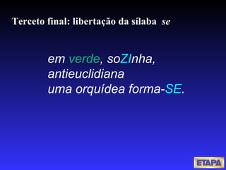 Terceto final: libertação da sílaba  se em  verde , so ZI nha, antieuclidiana uma orquídea forma- SE . 